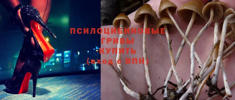 Псилоцибиновые грибы MAGIC MUSHROOMS  Бабаево 